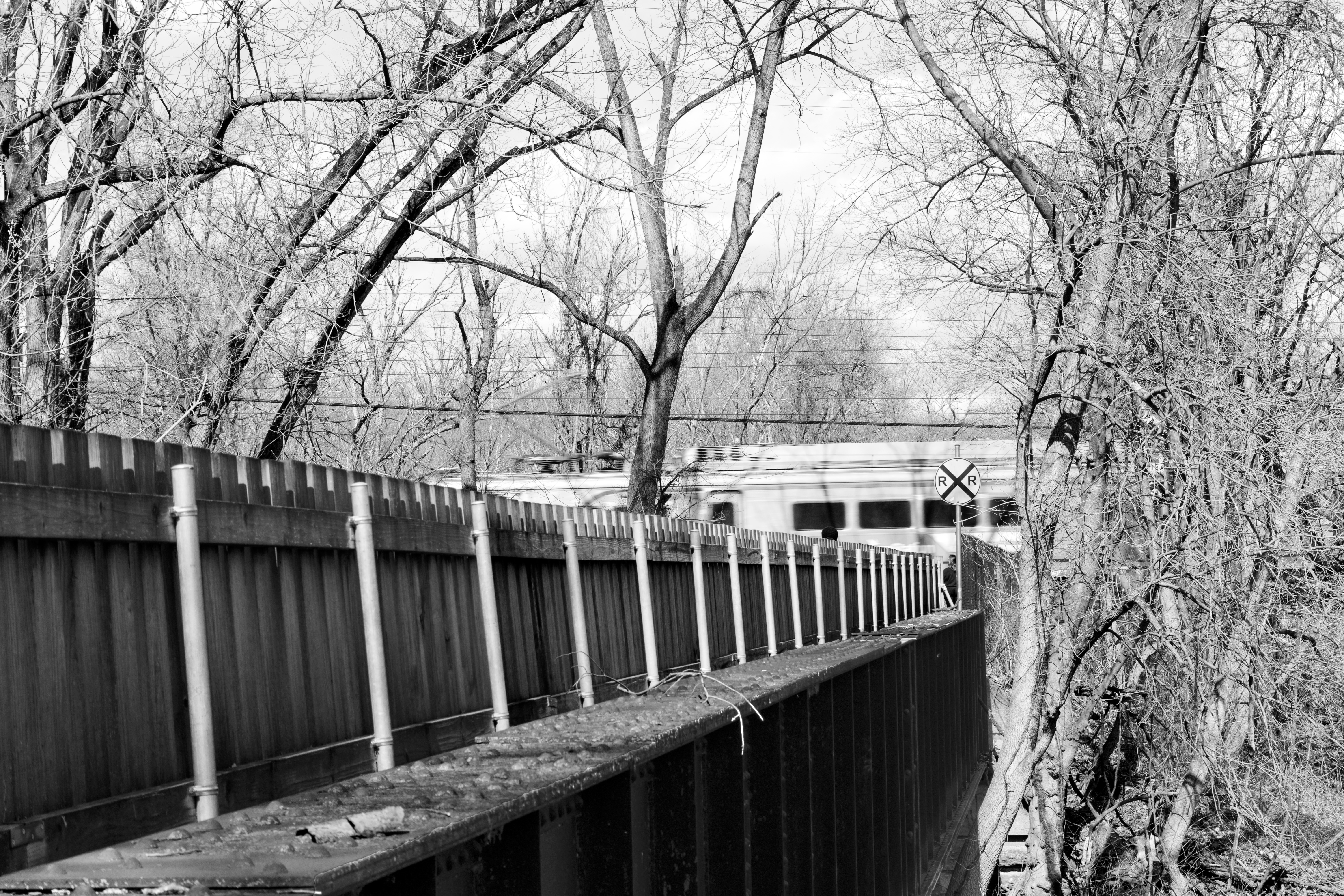 A West Trenton Line train crosses the Pennypack Trail, formerly the Fox Chase-Newtown Line