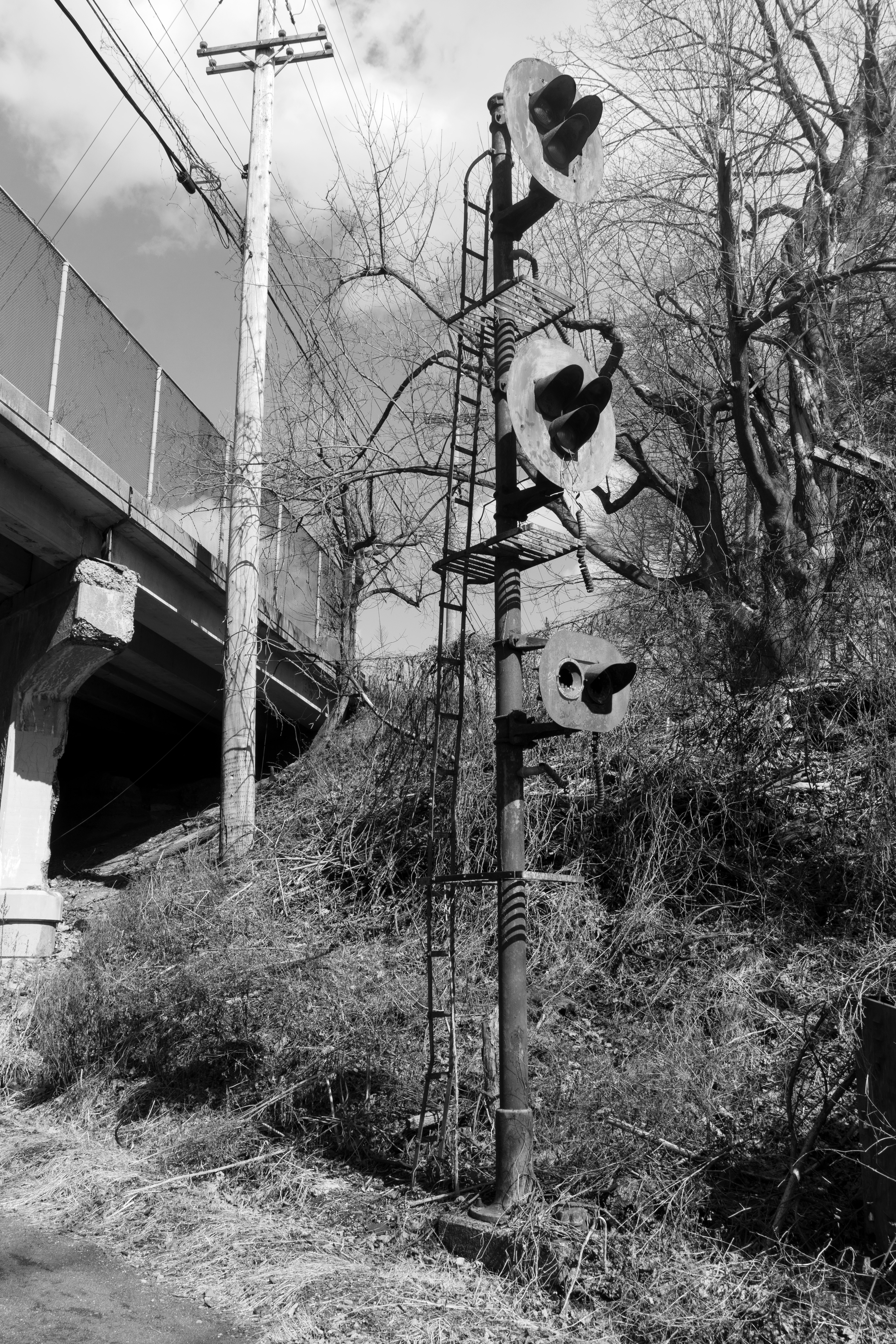 Abandoned signals along the Pennypack Trail, formerly the Fox Chase-Newtown Line