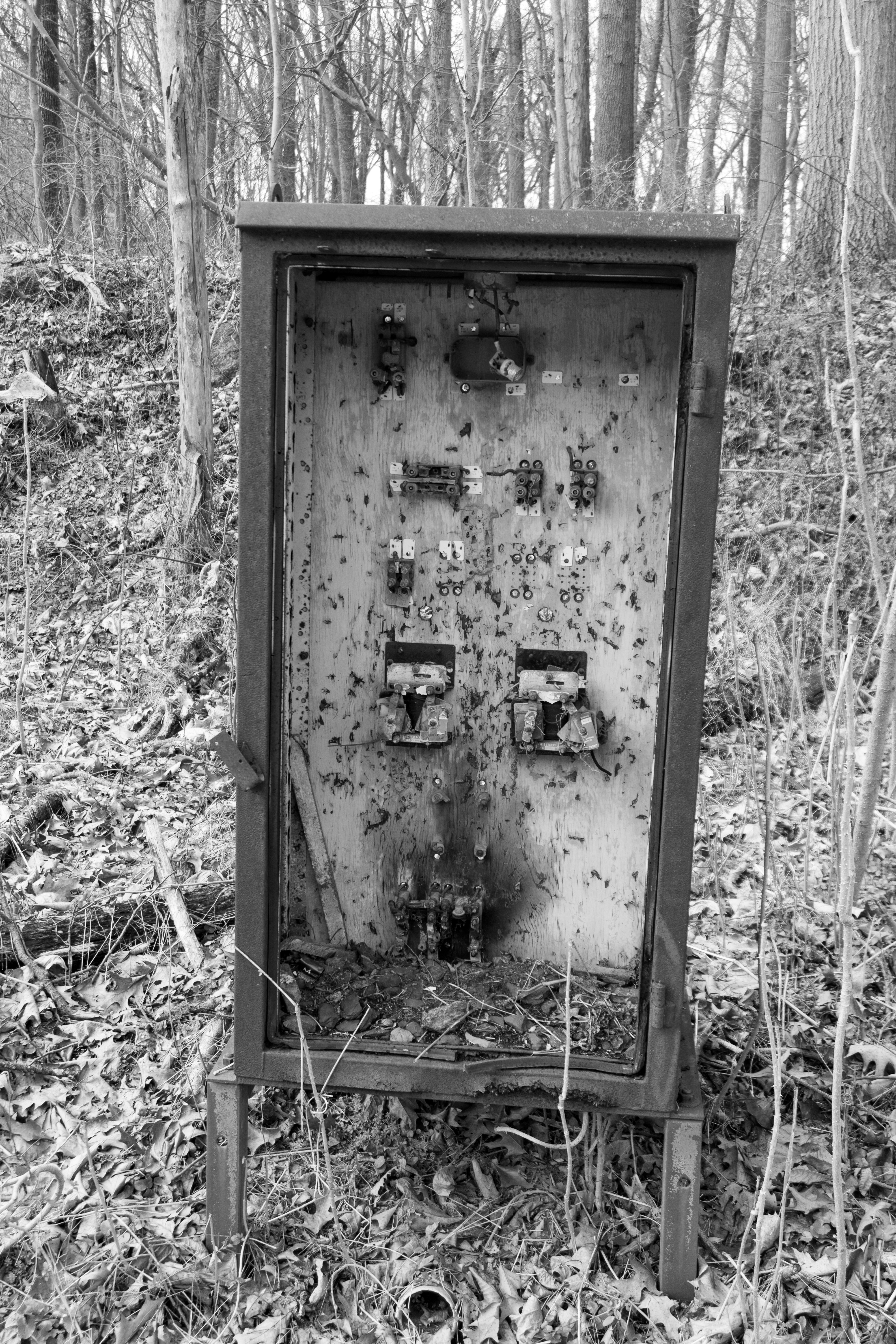 Abandoned equipment box along the Pennypack Trail, formerly the Fox Chase-Newtown Line