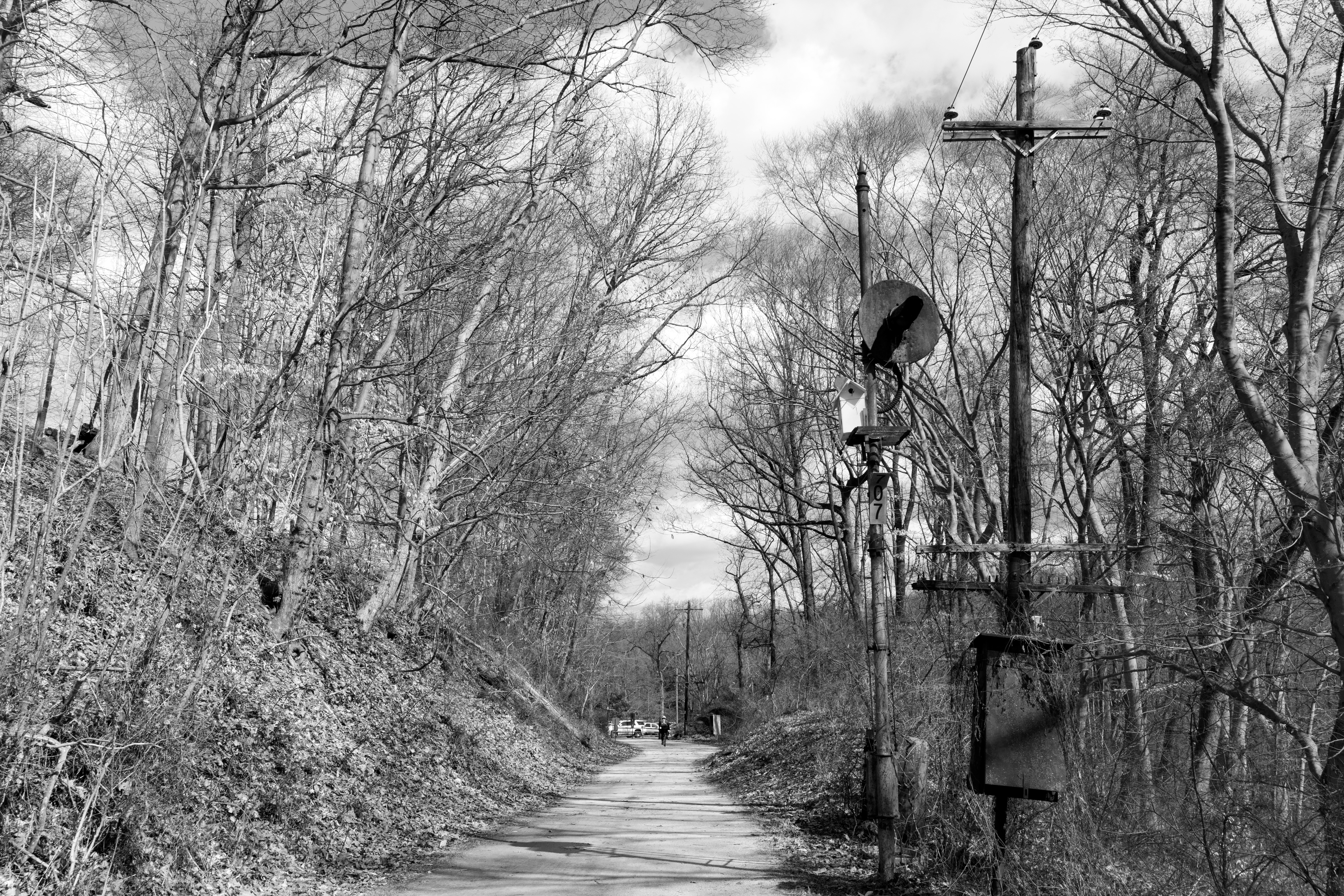 Abandoned signals along the Pennypack Trail, formerly the Fox Chase-Newtown Line